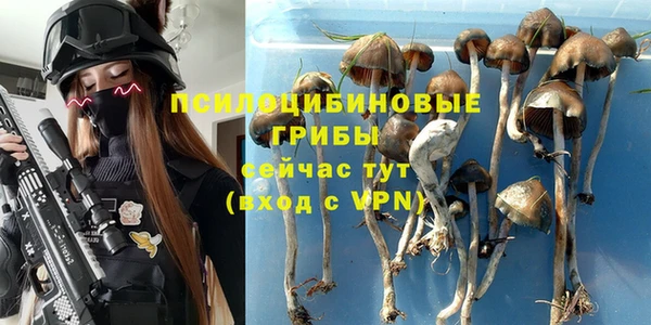 метадон Алексин