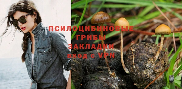 метадон Алексин