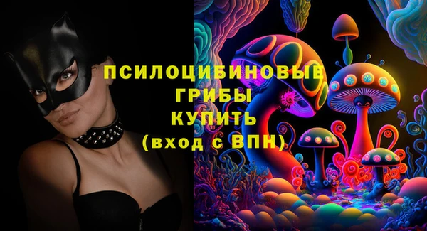 метадон Алексин