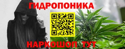 ГАЛЛЮЦИНОГЕННЫЕ ГРИБЫ Магадан