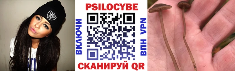 купить  цена  Сосновый Бор  Псилоцибиновые грибы MAGIC MUSHROOMS 