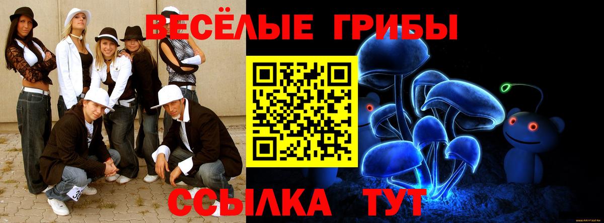 Сосновый Бор  Галлюциногенные грибы Psilocybine cubensis  где продают наркотики  Псилоцибиновые грибы Magic Shrooms  Вход с VPN 